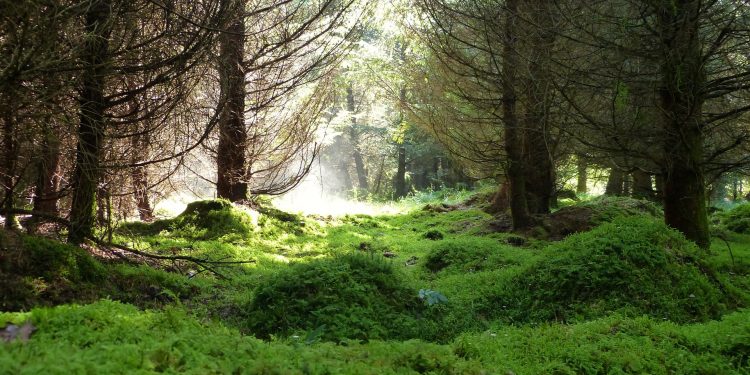 Ressourcen-und umweltschonend heißt verantwortungsvoller Umgang mit der Natur.