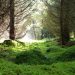 Ressourcen-und umweltschonend heißt verantwortungsvoller Umgang mit der Natur.