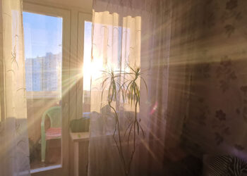 Große Fensterflächen und direkte Sonneneinstrahlung können Wohnungen im Sommer stark aufheizen. Für ältere Menschen kann anhaltende Hitze zur gesundheitlichen Belastung werden.(Credit: Shutterstock)